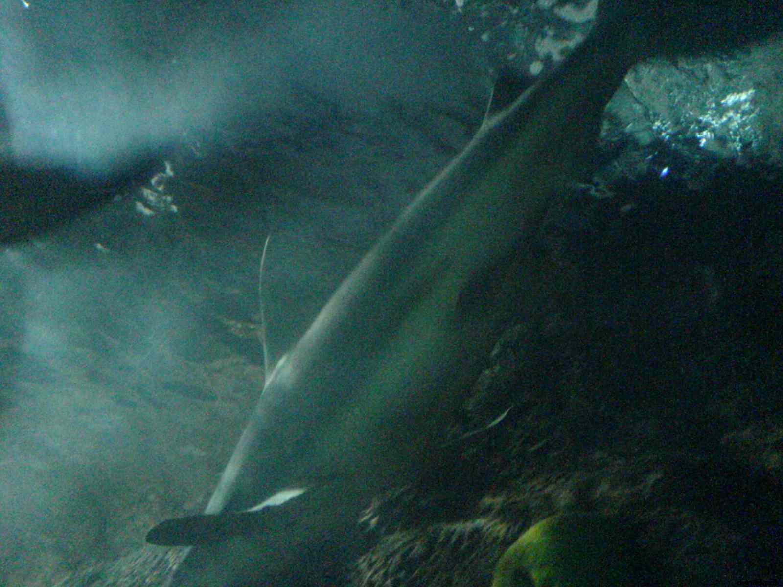 * Image 158