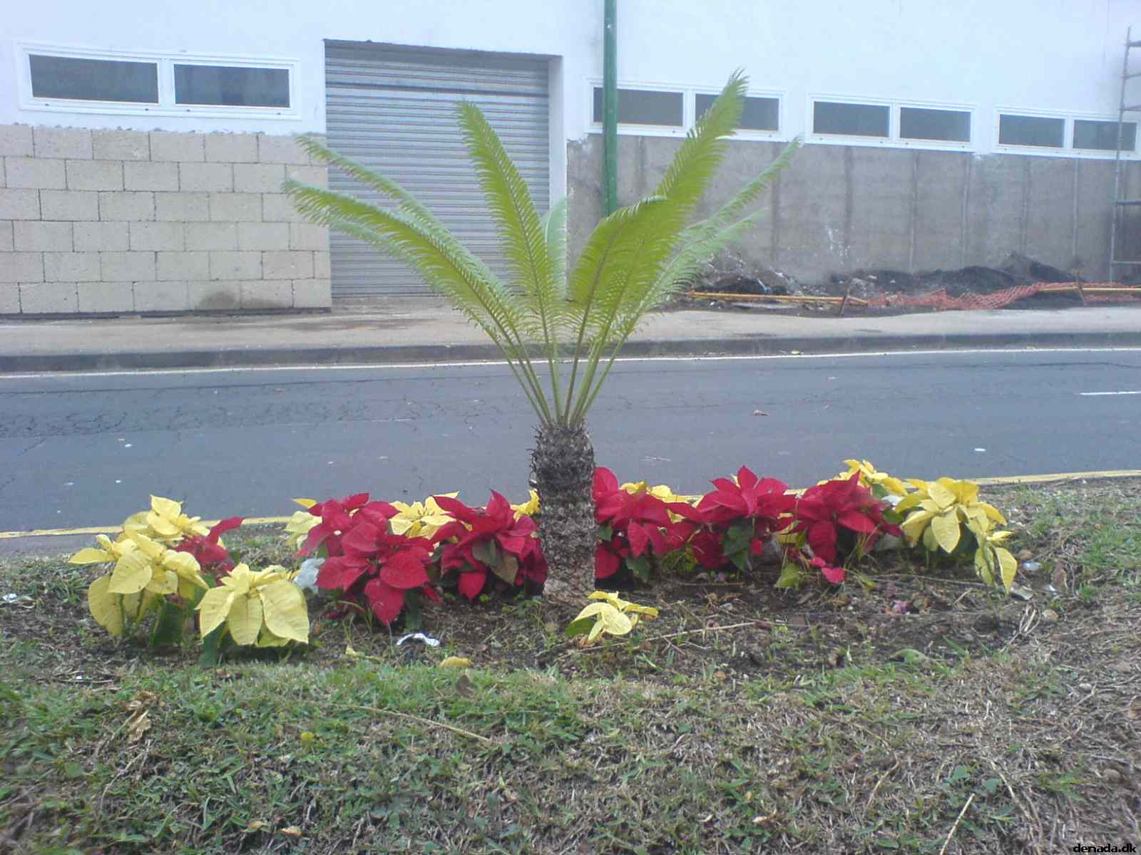 * Image 170