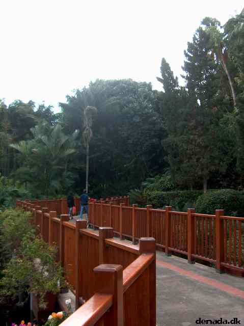 * Image 45
