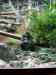 048.jpg - 2006:01:28 13:28:07