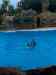 104.jpg - 2006:01:28 14:53:23