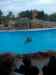 107.jpg - 2006:01:28 14:53:57