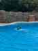 126.jpg - 2006:01:28 15:06:46