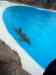 133.jpg - 2006:01:28 15:12:18