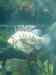 146.JPG - 2007:01:27 15:35:52