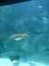 149.JPG - 2007:01:27 15:37:02