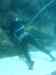 151.JPG - 2007:01:27 15:37:34