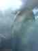 163.JPG - 2007:01:27 15:43:21