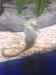 169.JPG - 2007:01:27 15:47:07