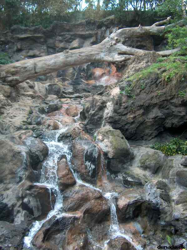* Image 47