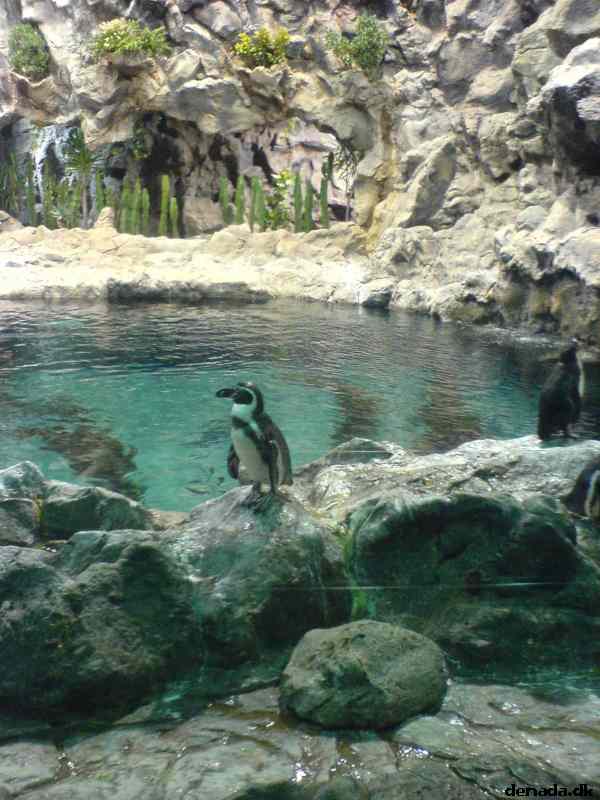 * Image 53