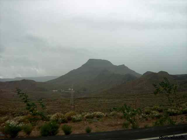 * Image 3