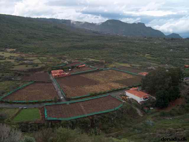 * Image 25