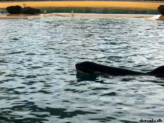 * Image 79