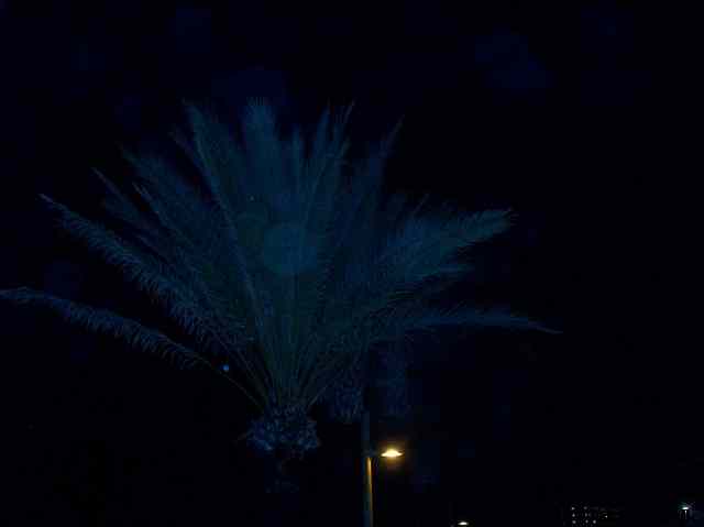 * Image 190