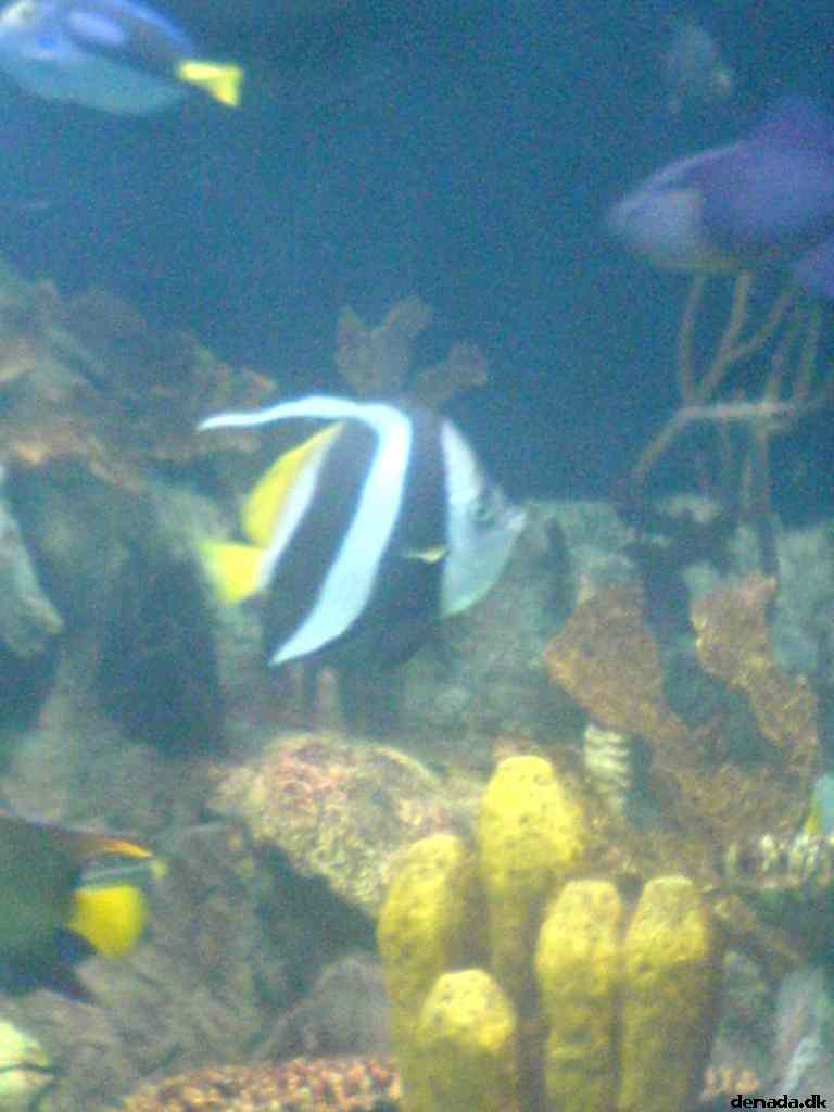 * Image 152