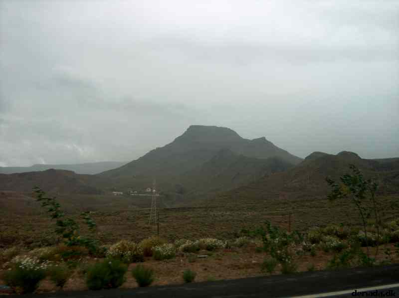 * Image 3