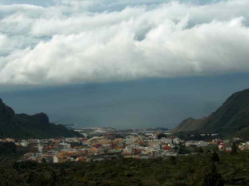* Image 19