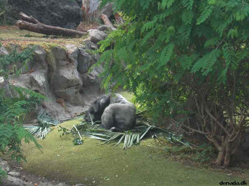 * Image 51