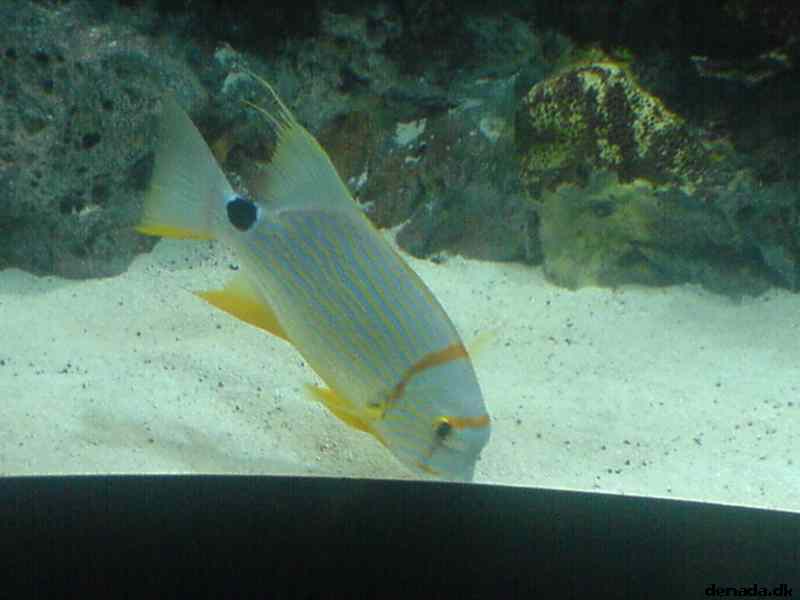 * Image 153