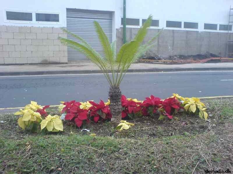 * Image 170