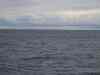 Billede_071.jpg - 2007:01:26 15:43:27