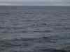 Billede_073.jpg - 2007:01:26 15:44:12