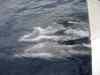 Billede_082.jpg - 2007:01:26 16:58:07