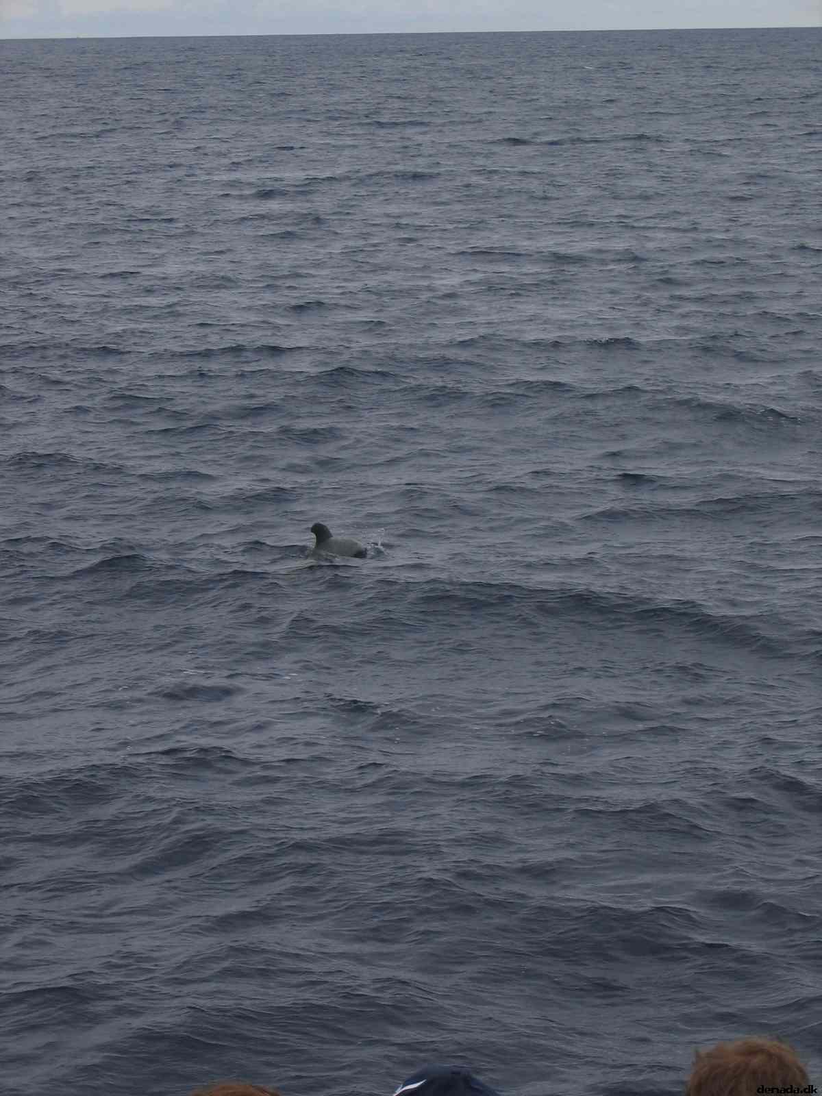 * Image 75