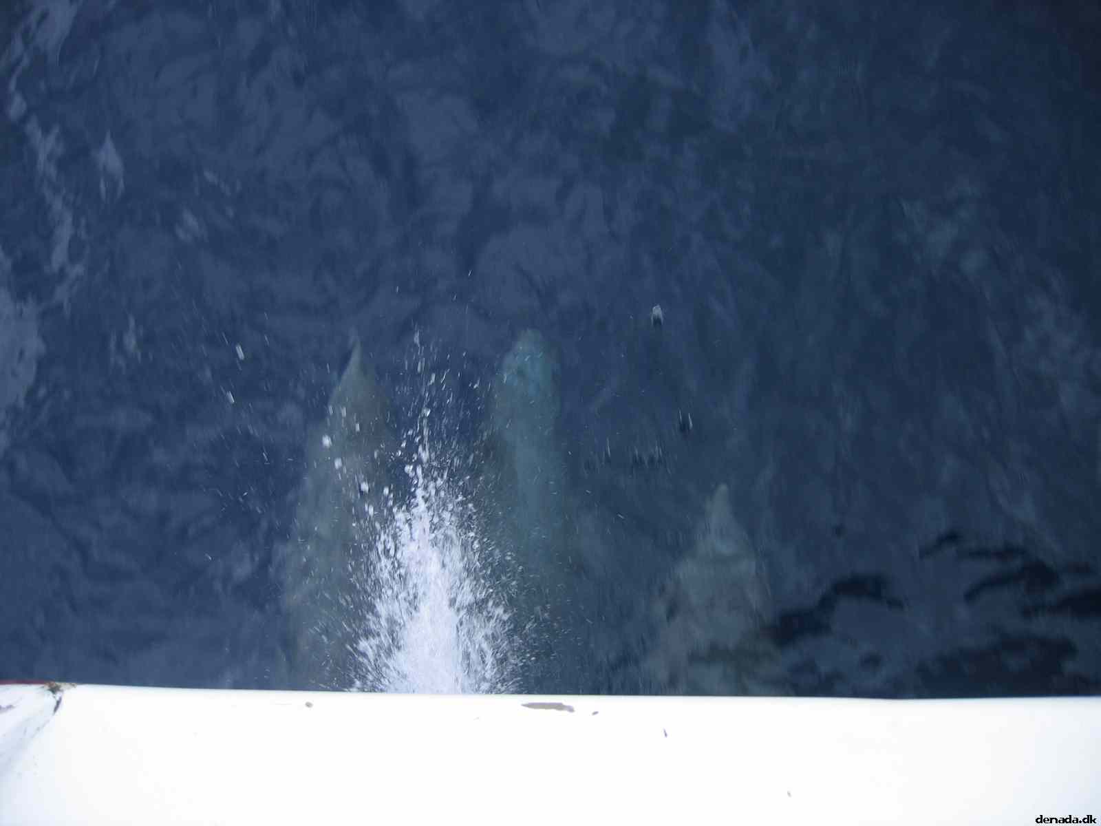 * Image 56