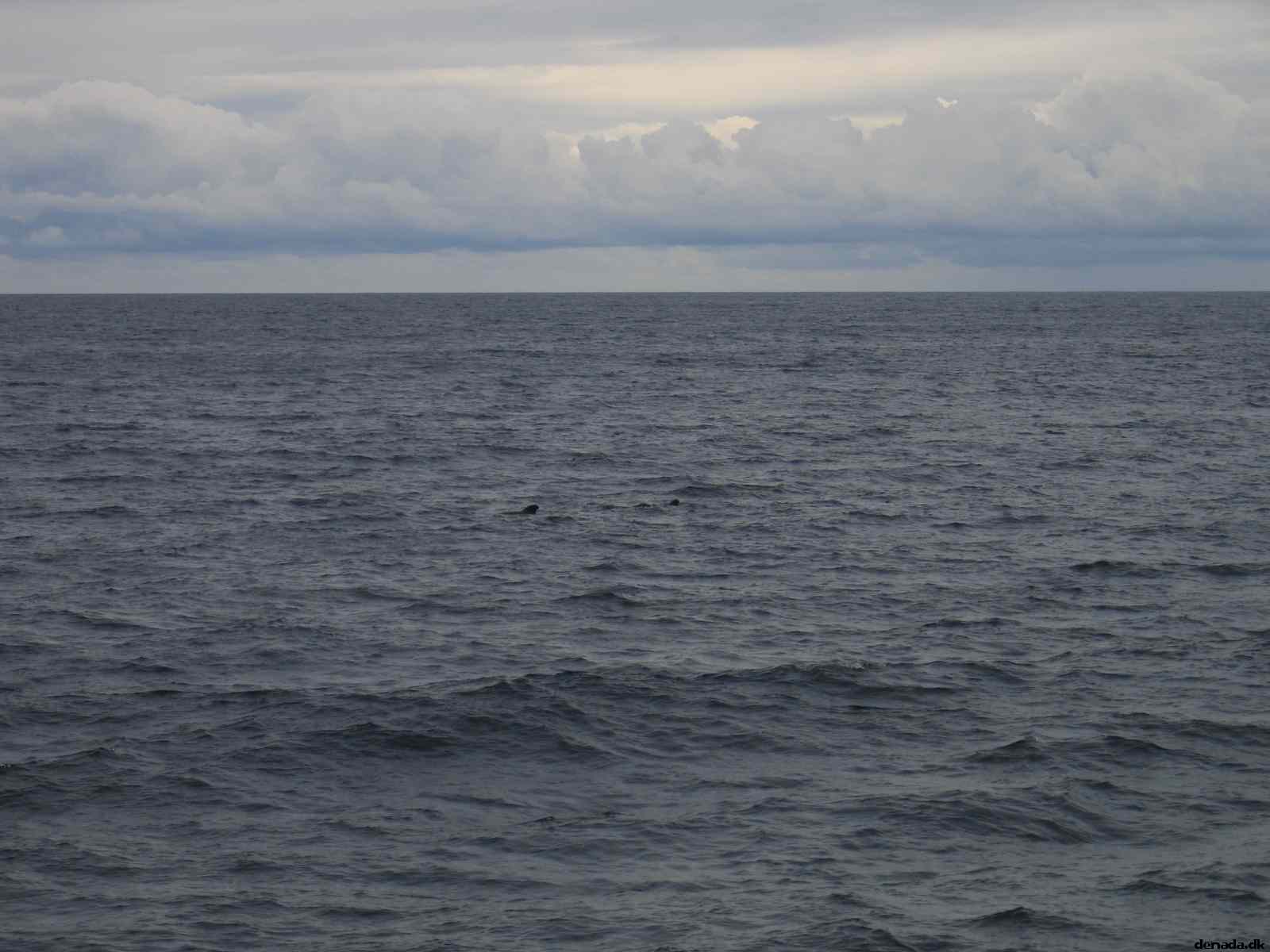 * Image 72