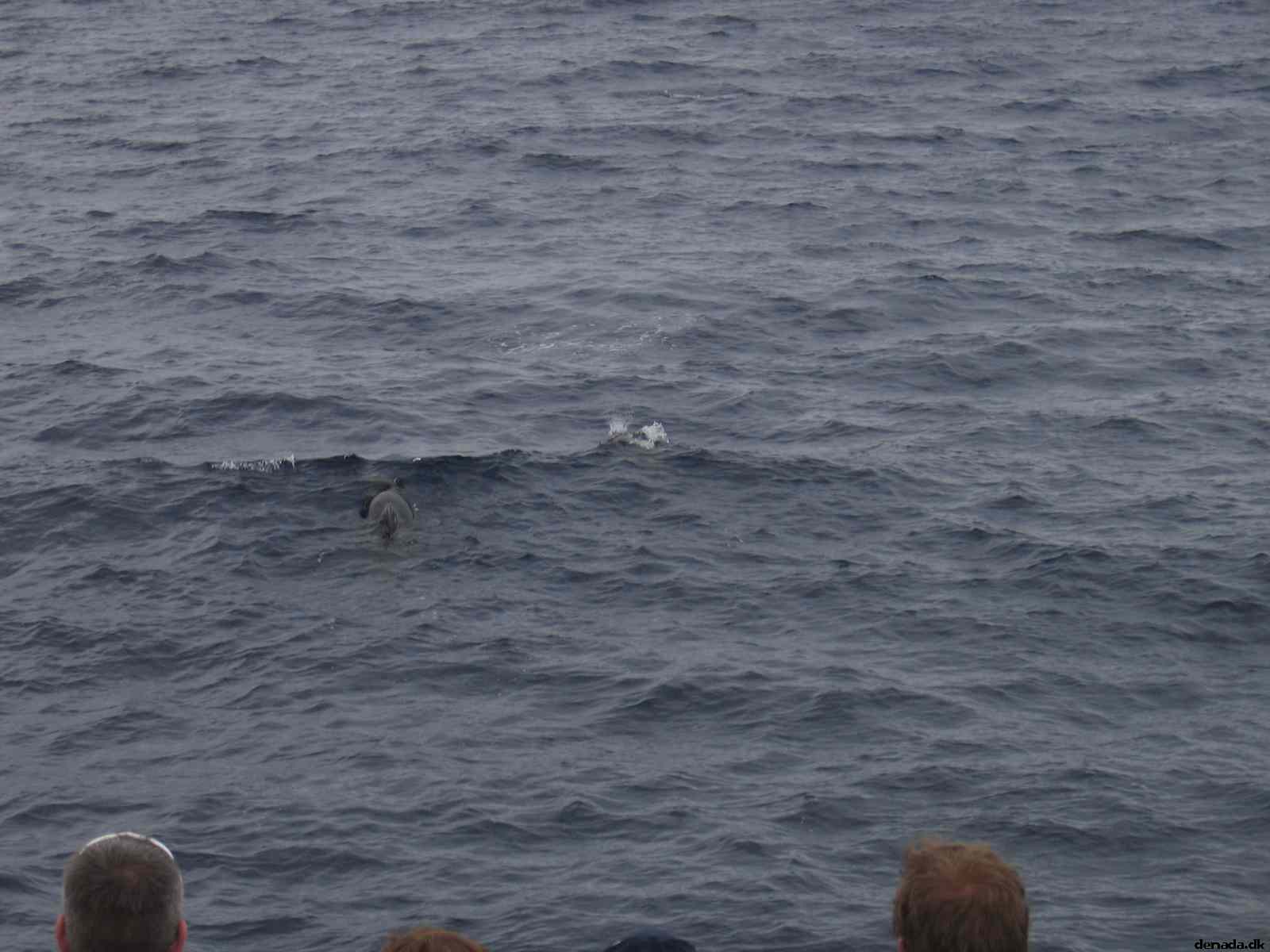 * Image 74