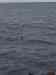 Billede_075.jpg - 2007:01:26 15:45:26
