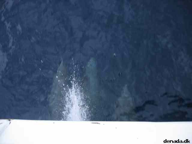 * Image 56