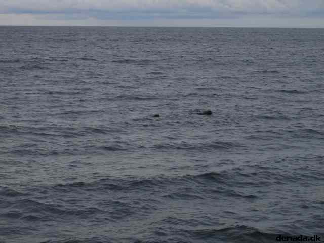 * Image 73