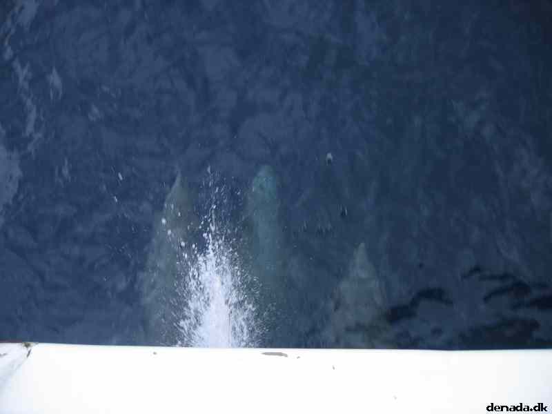 * Image 56