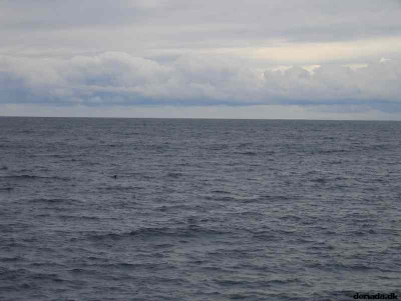 * Image 71