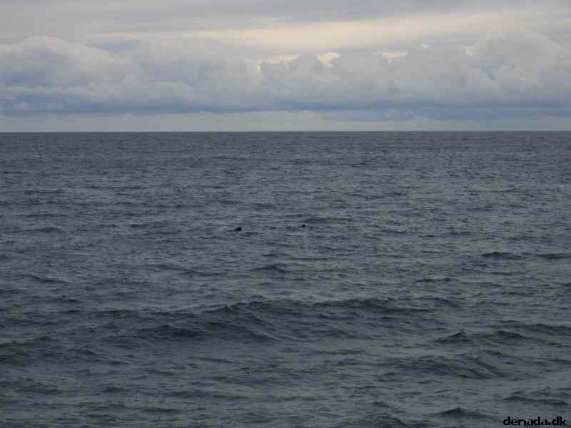 * Image 72