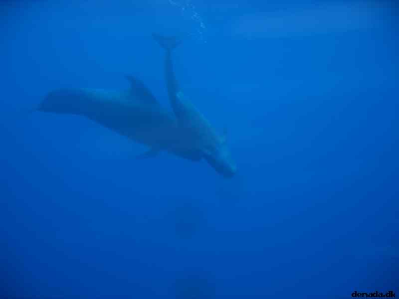 * Image 76