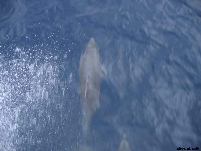* Image 80