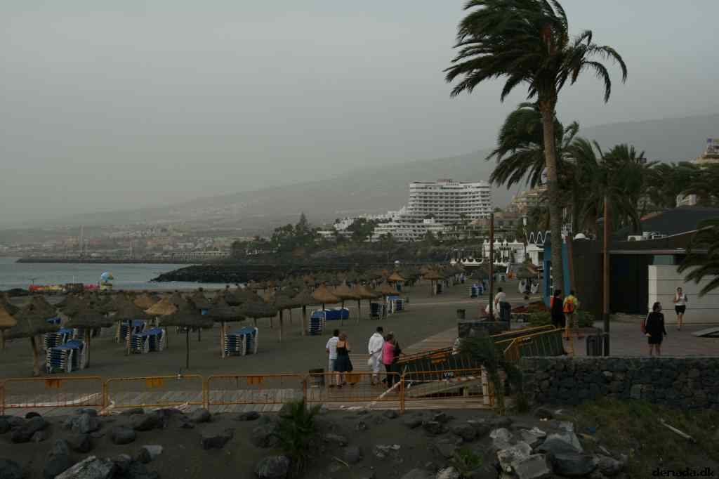 * Image 46