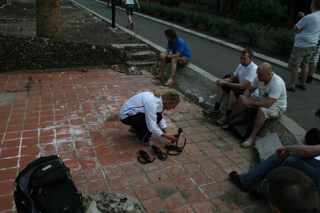 * Image 250