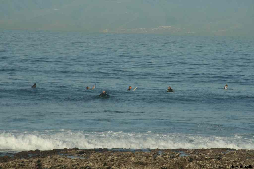 * Image 416