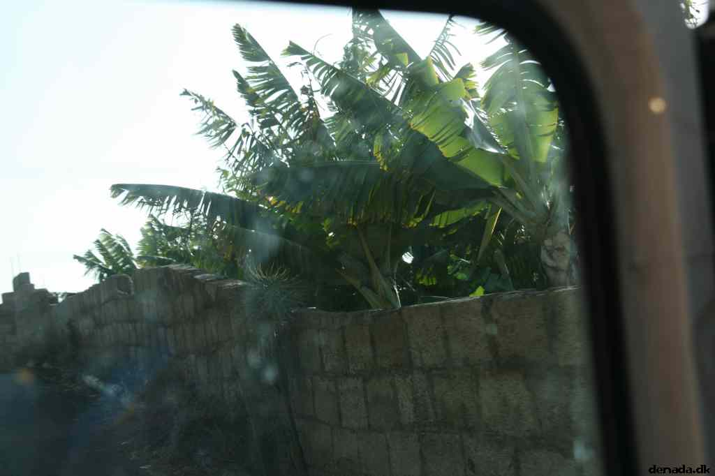 * Image 563