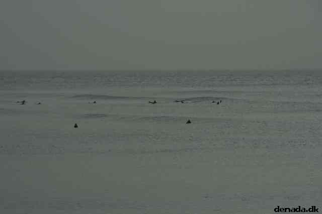 * Image 49