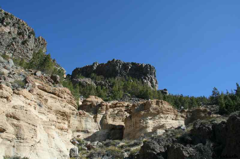 * Image 472