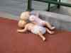 SANY0249.JPG - 2008:01:21 15:18:08