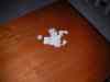 SANY0406.JPG - 2008:01:25 07:20:04