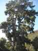 SANY0440.JPG - 2008:01:25 13:15:04