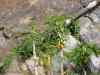 SANY0538.JPG - 2008:01:26 12:33:44